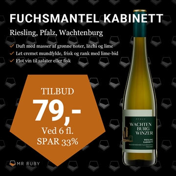 2023 Riesling Fuchsmantel Kabinett Trocken, Weinland Wachtenburg, Pfalz, Tyskland
